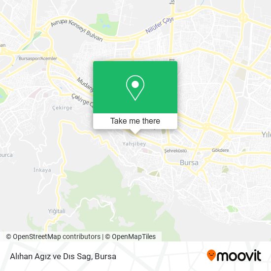 Alıhan Agız ve Dıs Sag map