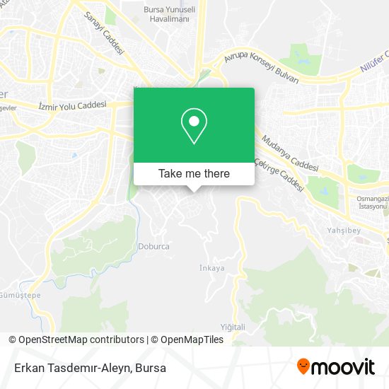 Erkan Tasdemır-Aleyn map