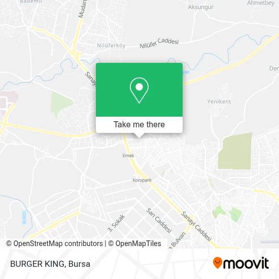BURGER KING map
