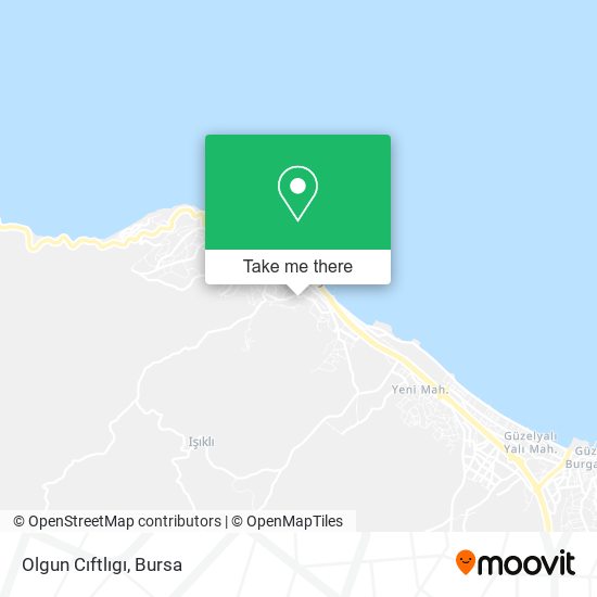Olgun Cıftlıgı map