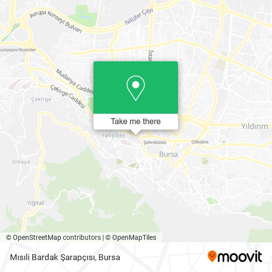 Mısıli Bardak Şarapçısı map