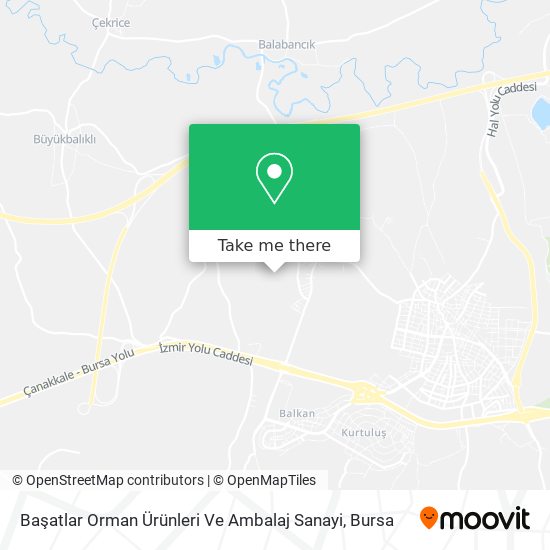 Başatlar Orman Ürünleri Ve Ambalaj Sanayi map