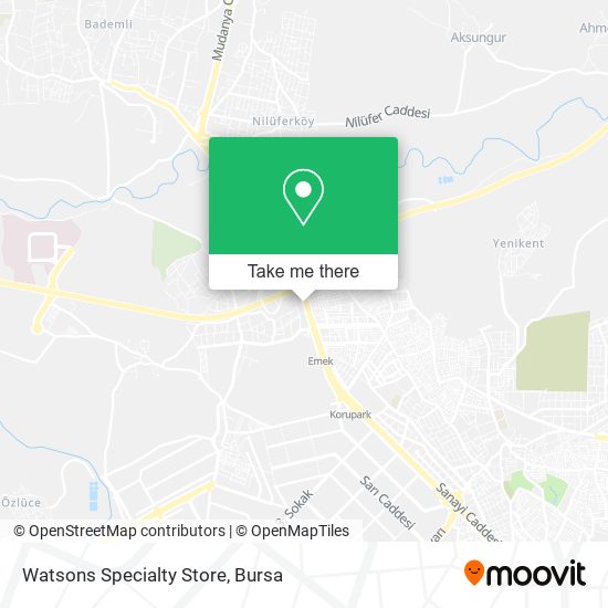 Watsons Specialty Store map