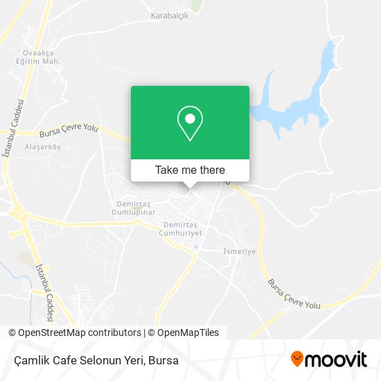 Çamlik Cafe Selonun Yeri map