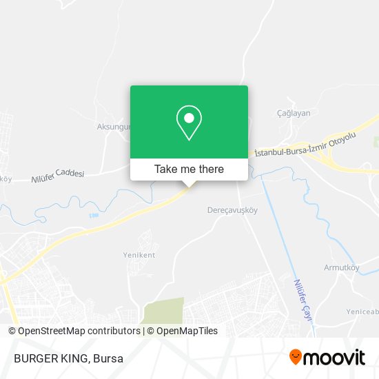 BURGER KING map