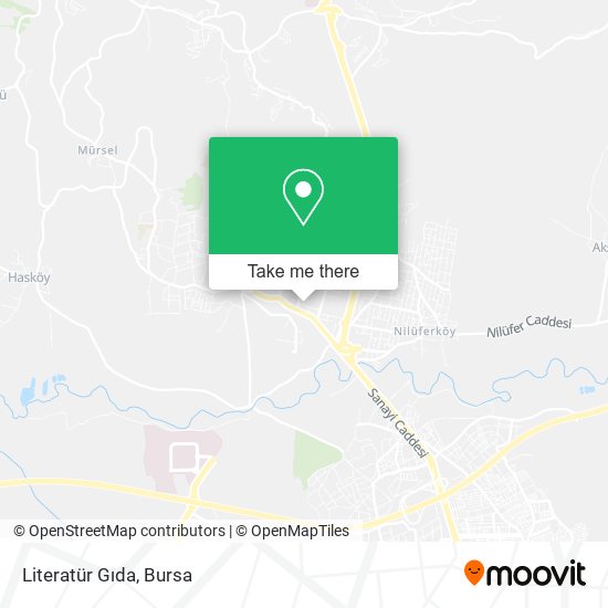 Literatür Gıda map
