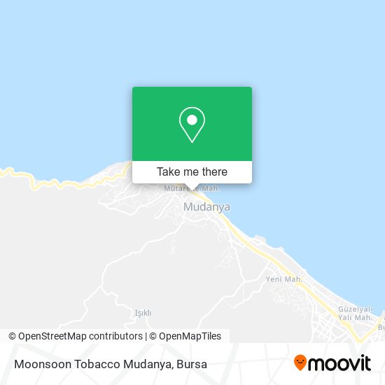 Moonsoon Tobacco Mudanya map