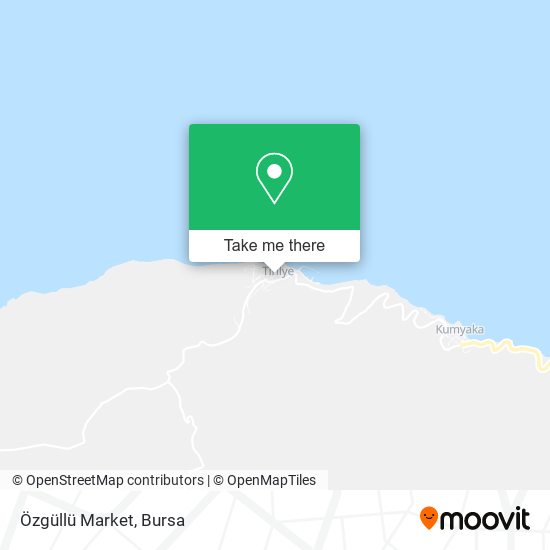 Özgüllü Market map