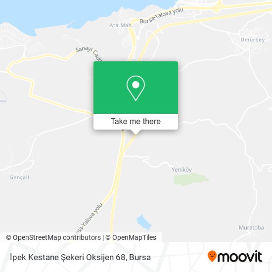 İpek Kestane Şekeri Oksijen 68 map