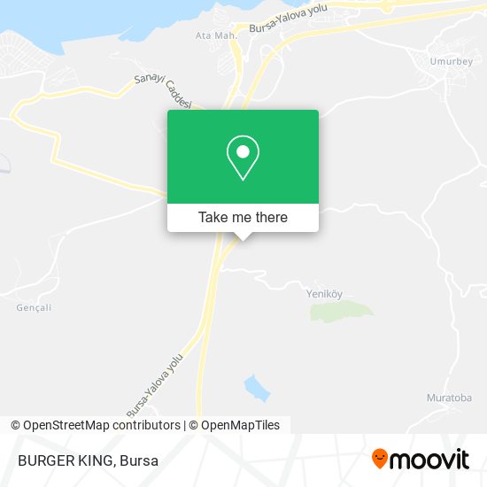 BURGER KING map