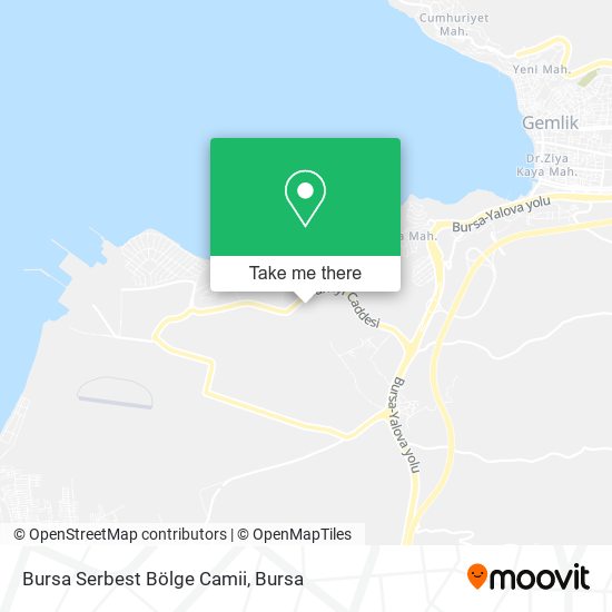 Bursa Serbest Bölge Camii map