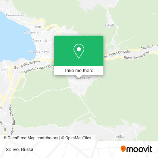 Solive map