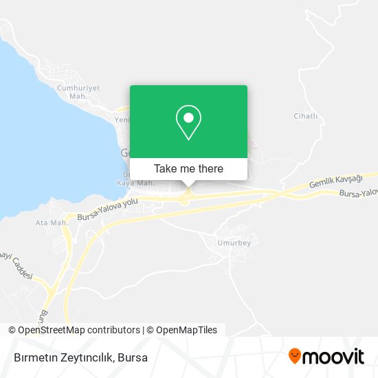 Bırmetın Zeytıncılık map