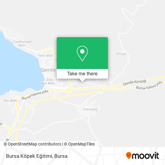 Bursa Köpek Eğitimi map