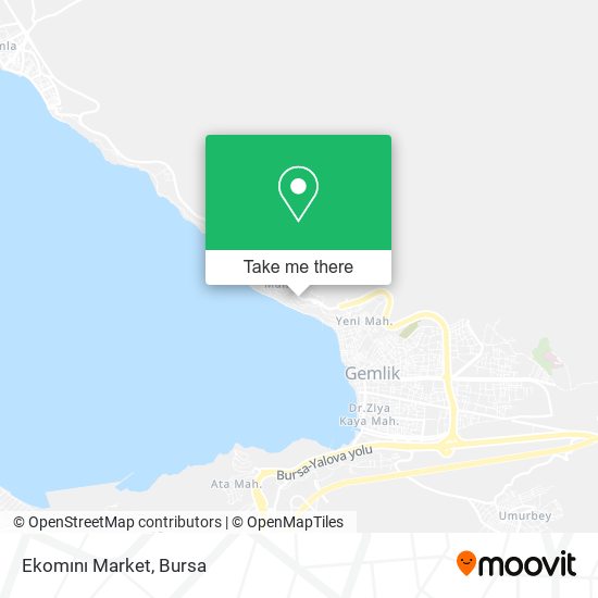Ekomını Market map