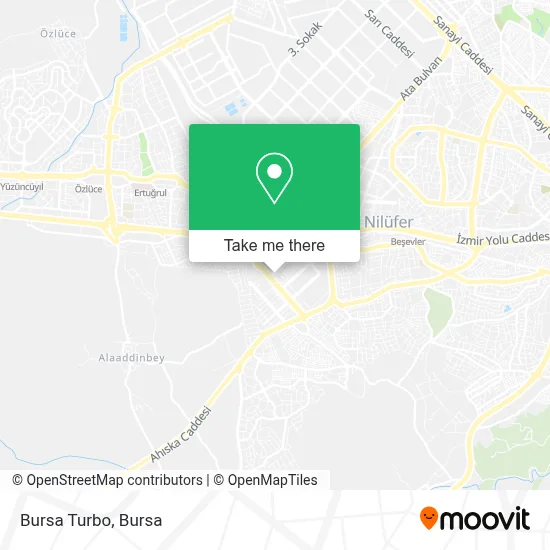 Bursa Turbo map