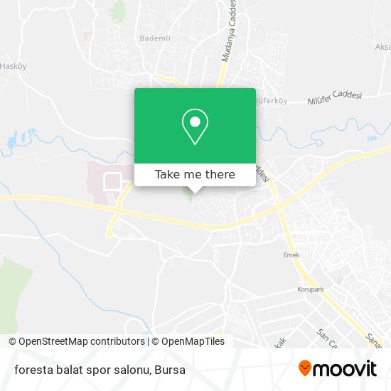 foresta balat spor salonu map