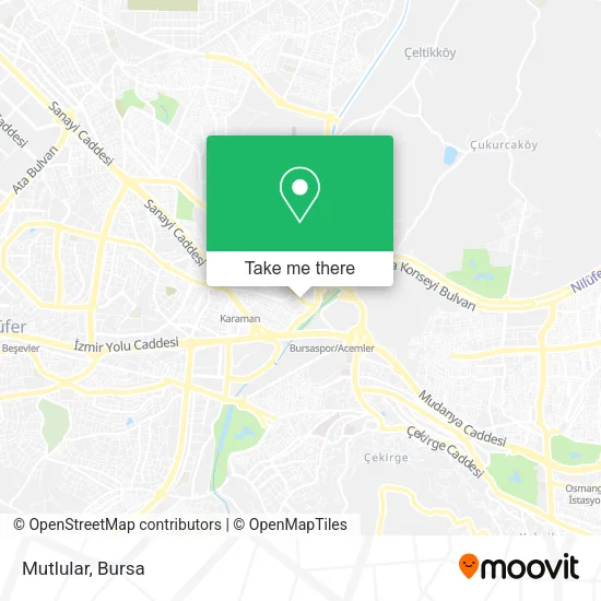 Mutlular map