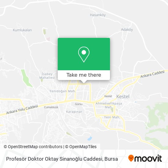 Profesör Doktor Oktay Sinanoğlu Caddesi map