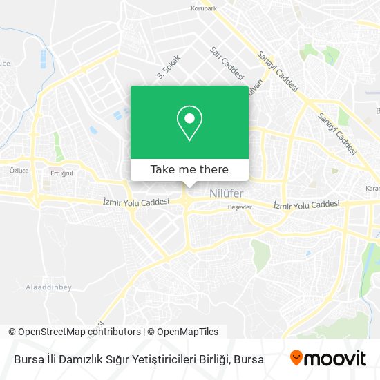 Bursa İli Damızlık Sığır Yetiştiricileri Birliği map