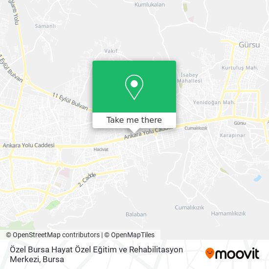 Özel Bursa Hayat Özel Eğitim ve Rehabilitasyon Merkezi map