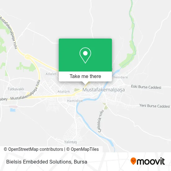 Bielsis Embedded Solutions map