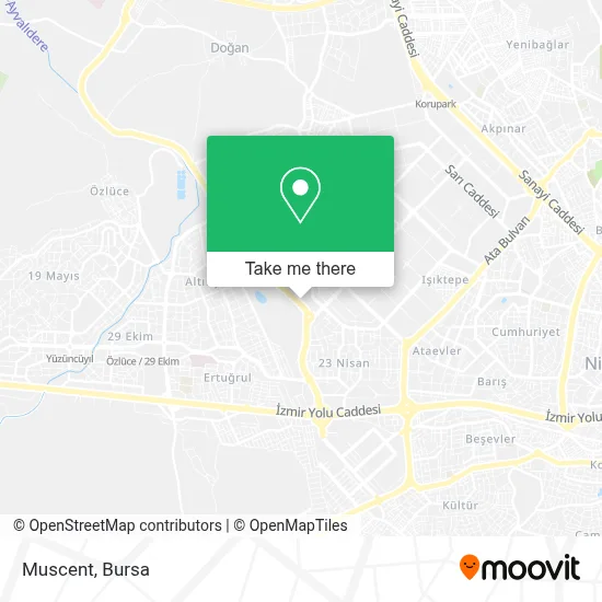 Muscent map