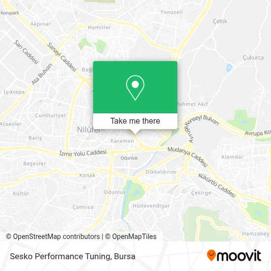 Sesko Performance Tuning map