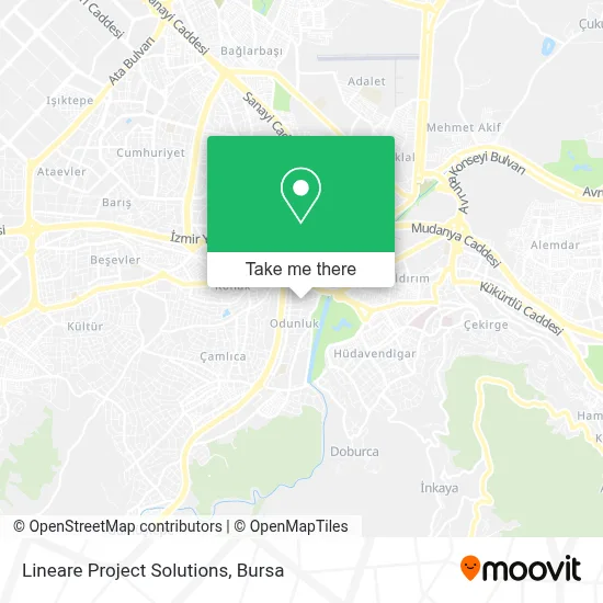 Lineare Project Solutions map