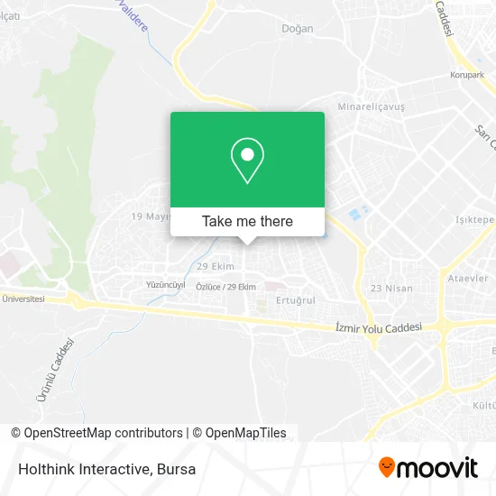 Holthink Interactive map
