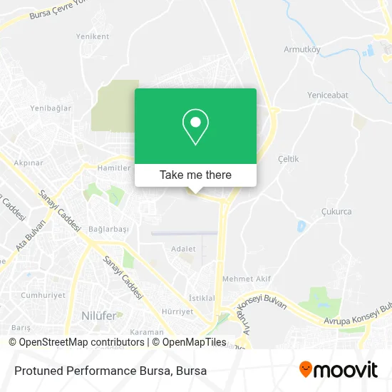 Protuned Performance Bursa map