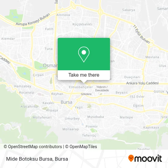Mide Botoksu Bursa map