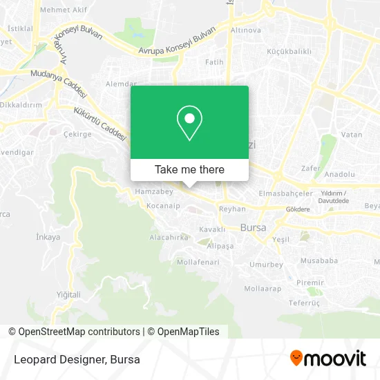 Leopard Designer map