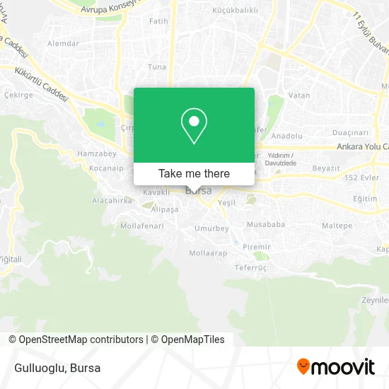 Gulluoglu map