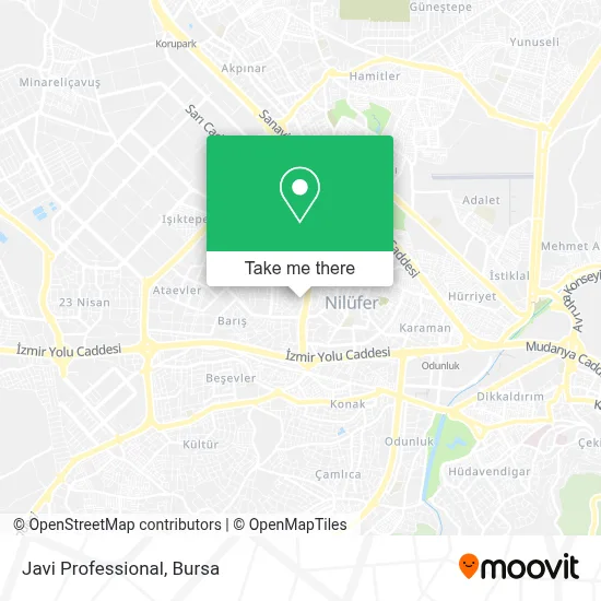 Javi Professional map