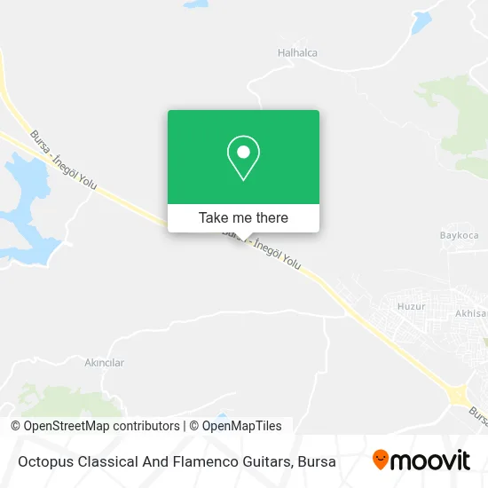 Octopus Classical And Flamenco Guitars map