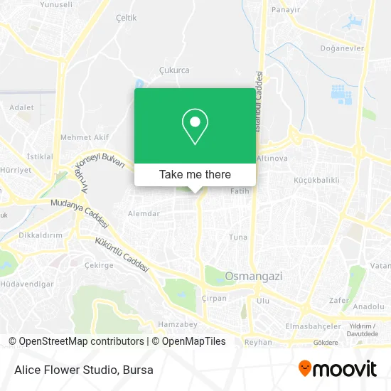 Alice Flower Studio map