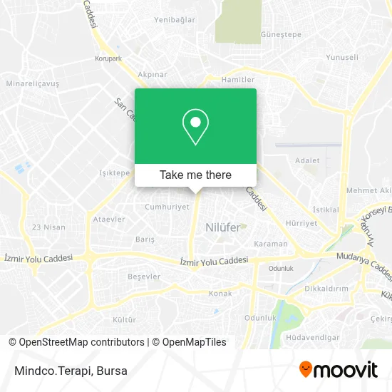 Mindco.Terapi map