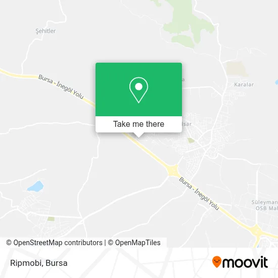 Ripmobi map