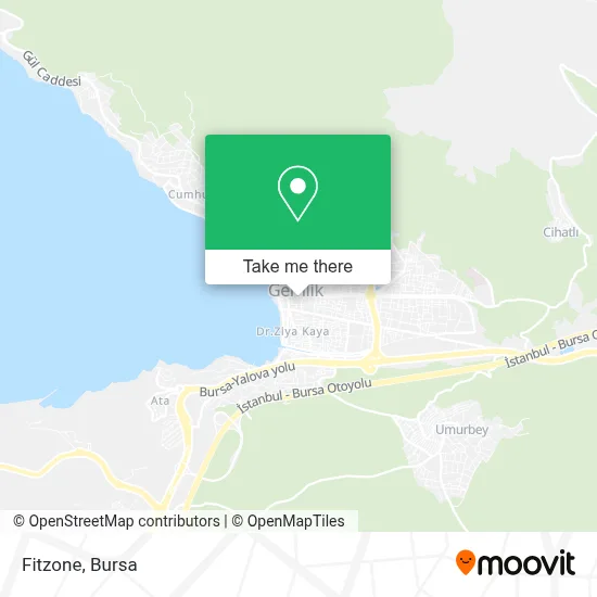 Fitzone map