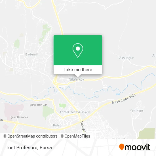 Tost Profesoru map