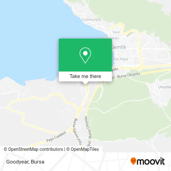 Goodyear map