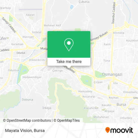 Mayata Vision map
