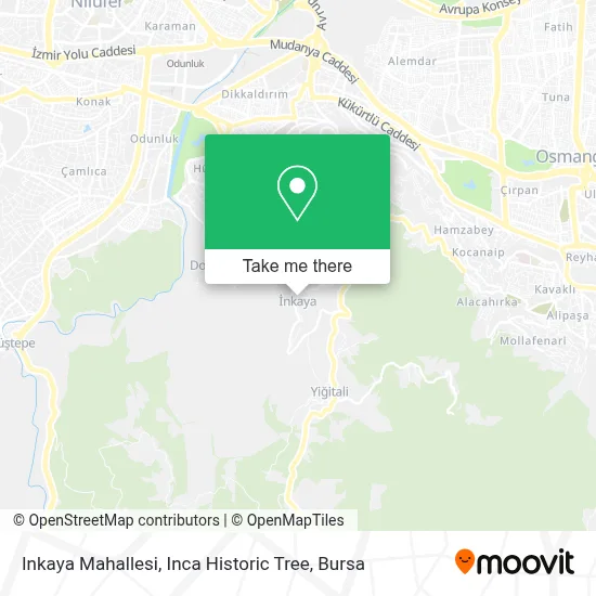 Inkaya Mahallesi, Inca Historic Tree map