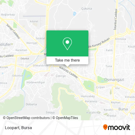 Loopart map