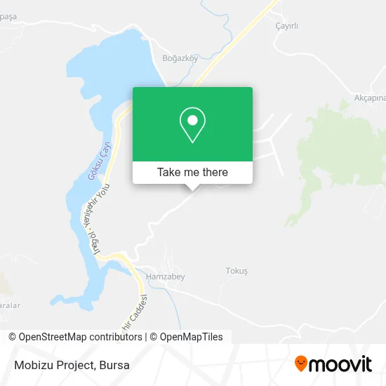 Mobizu Project map