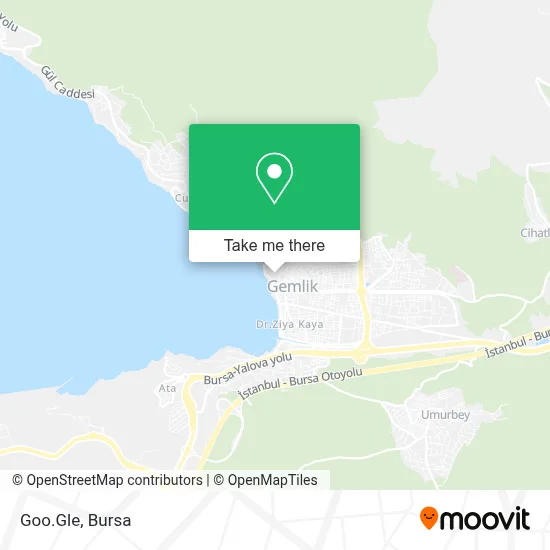 Goo.Gle map