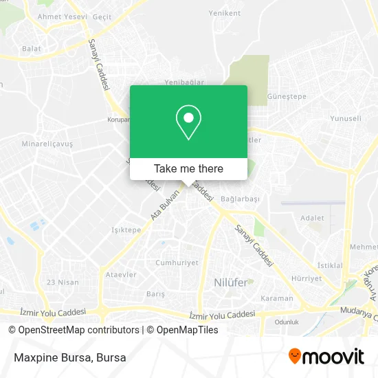 Maxpine Bursa map