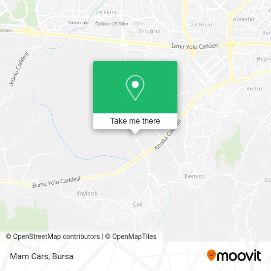 Mam Cars map