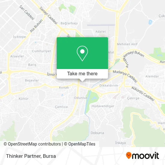 Thinker Partner map